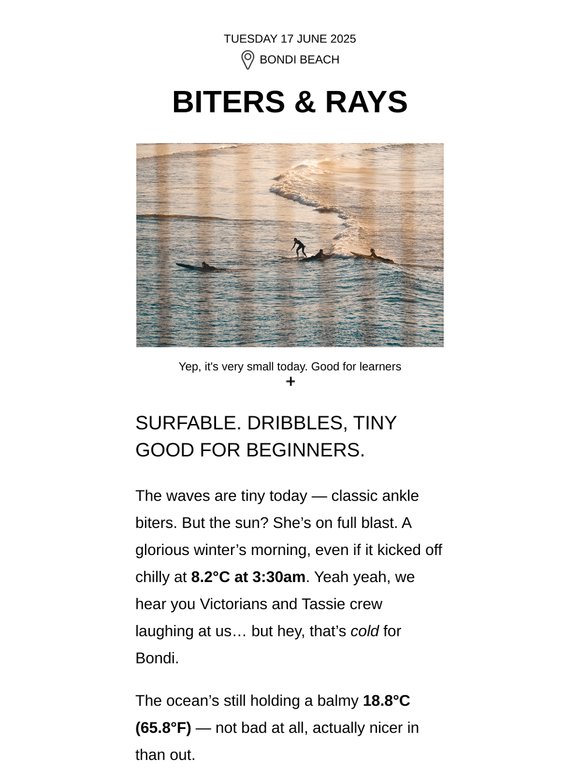 : : Biters & Rays