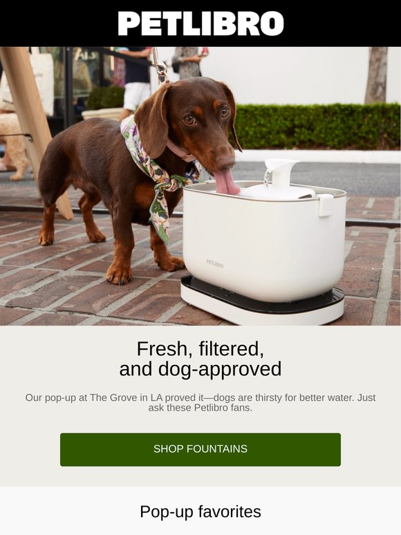 Don’t miss these Petlibro Pop-Up moments