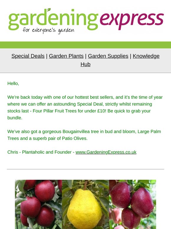 Pillar Fruit Trees, Giant Palm Trees, Bougainvillea, Patio Olives and much much more!