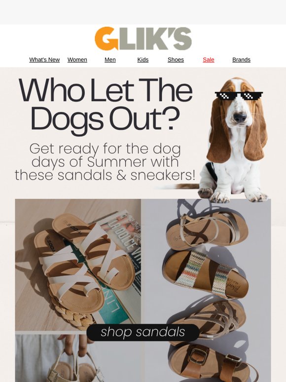 🐶 Who Let The Dogs Out?