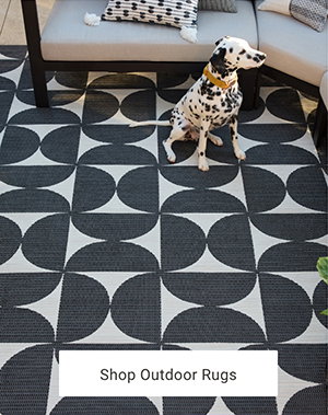 Shop Outdoor Rugs >