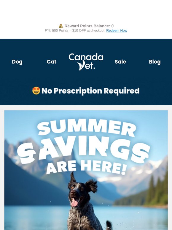 Summer Savings Just Hit Your Inbox 🏖️
