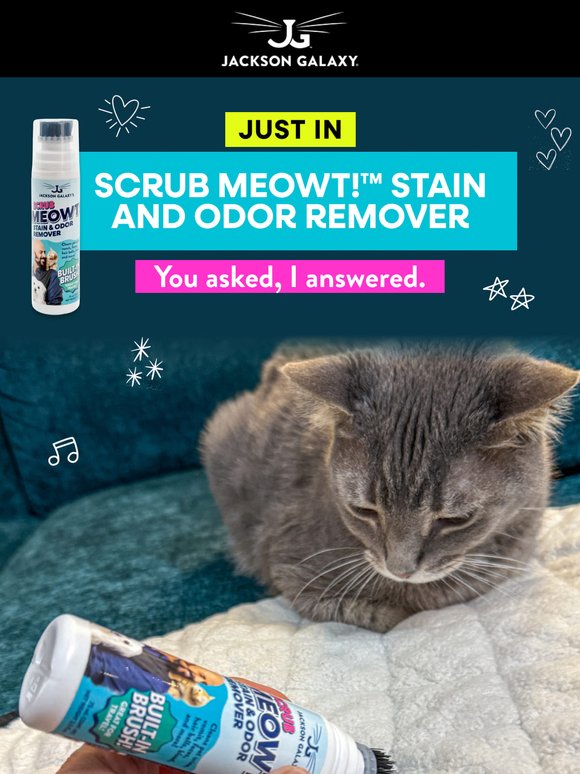 NEW: The Stain & Odor Solution That Goes Where Your Cat Goes