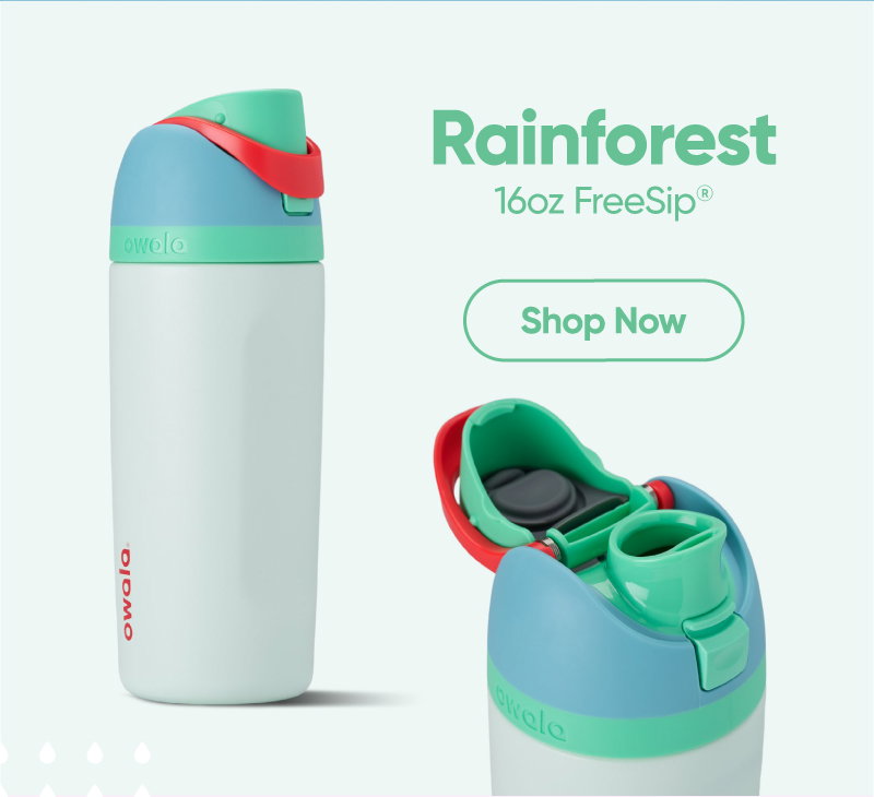 Rainforest - Shop Now