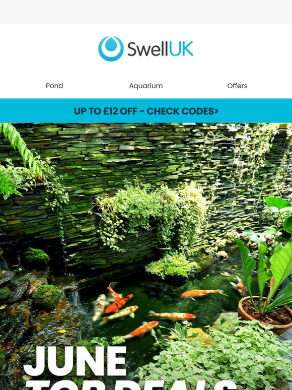 June Top Deals: Pond & Aquarium Supplies