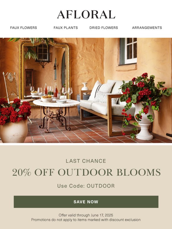 Final Hours for 20% Off ⏳