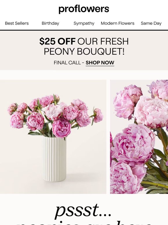 Make Their Day A Little More Special - $15 Off on All Peony Deliveries