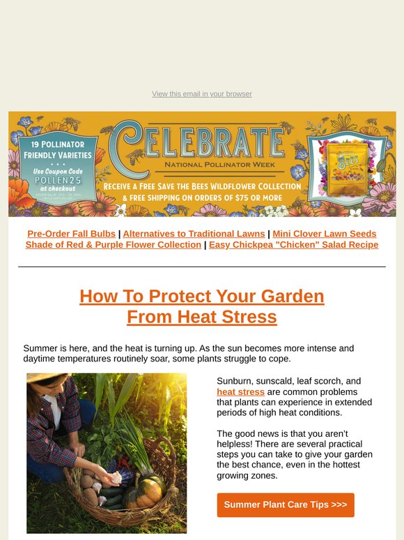 🔥 Beat the Heat: Tips to Prevent Sunburn & Scorch in Your Garden | TLM Newsletter