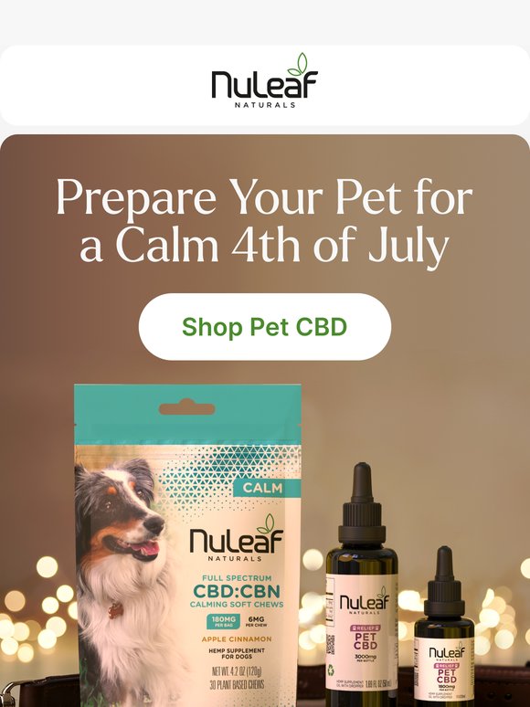 Prepare Your Pet for a Calm 4th of July