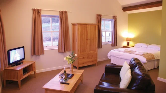 interior of a bluestone studio apartment