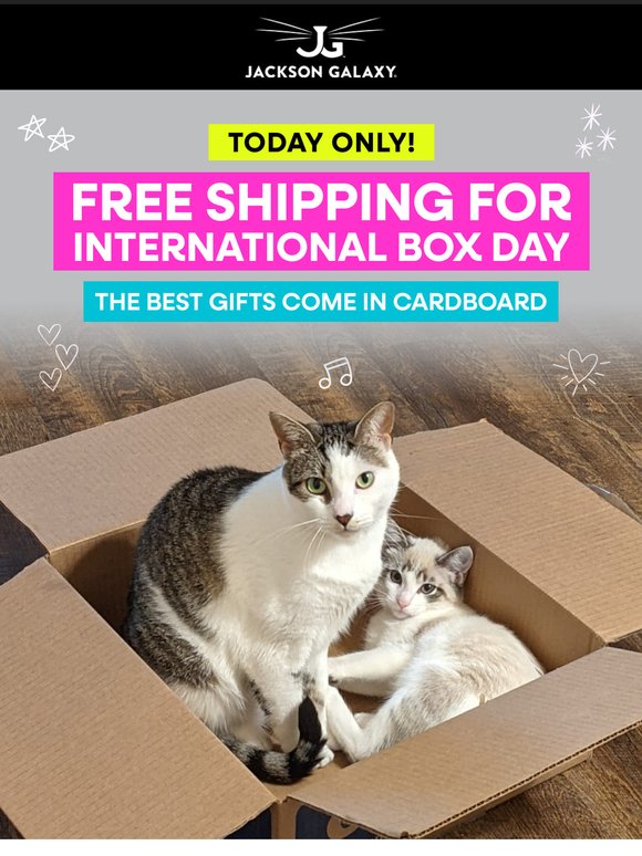Free Shipping So You Can Gift Your Cat Another Box 📦