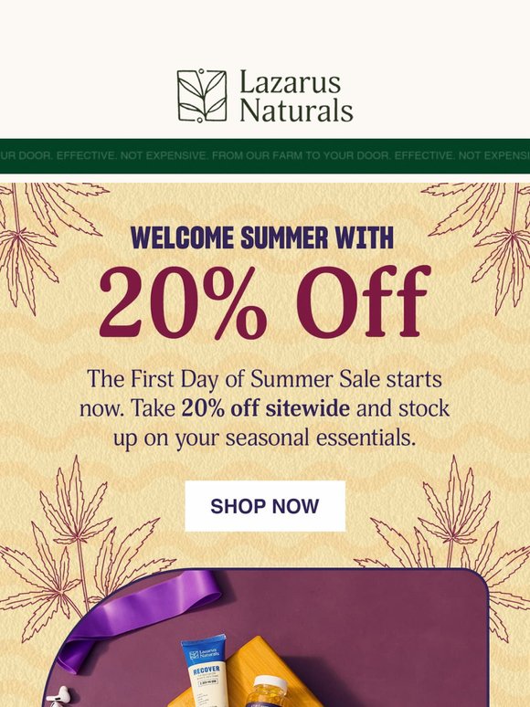 ☀️ Hello Summer! 20% Off Everything Starts NOW
