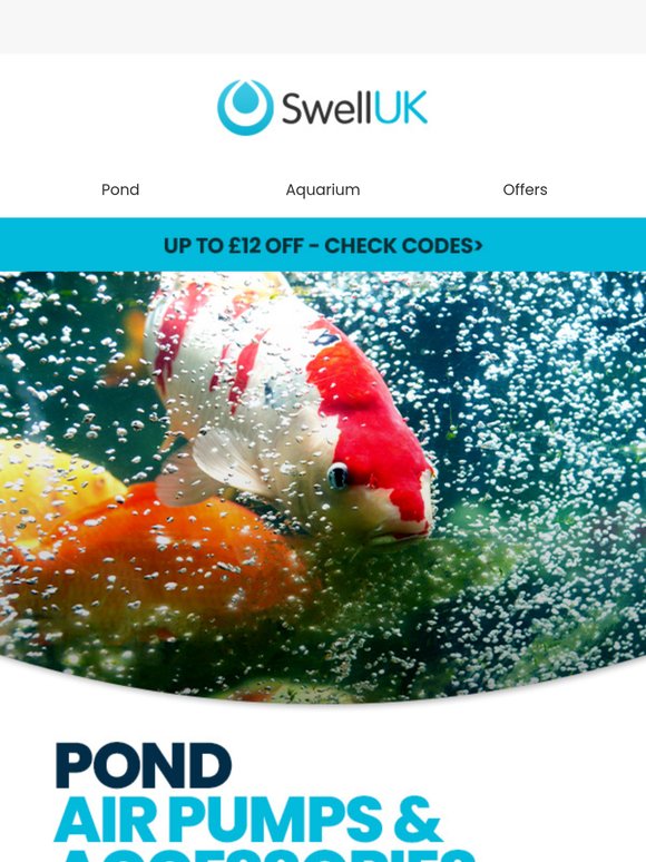 Pond Air Pumps & Accessories