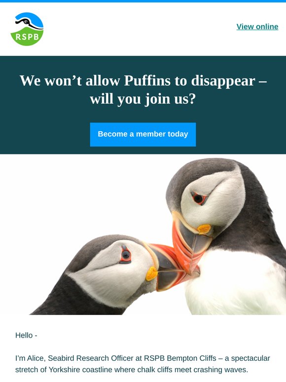—, I want Puffins to stay – don’t you?