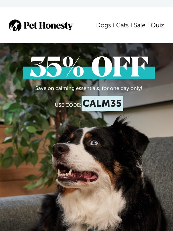 💸 35% OFF: Calming essentials