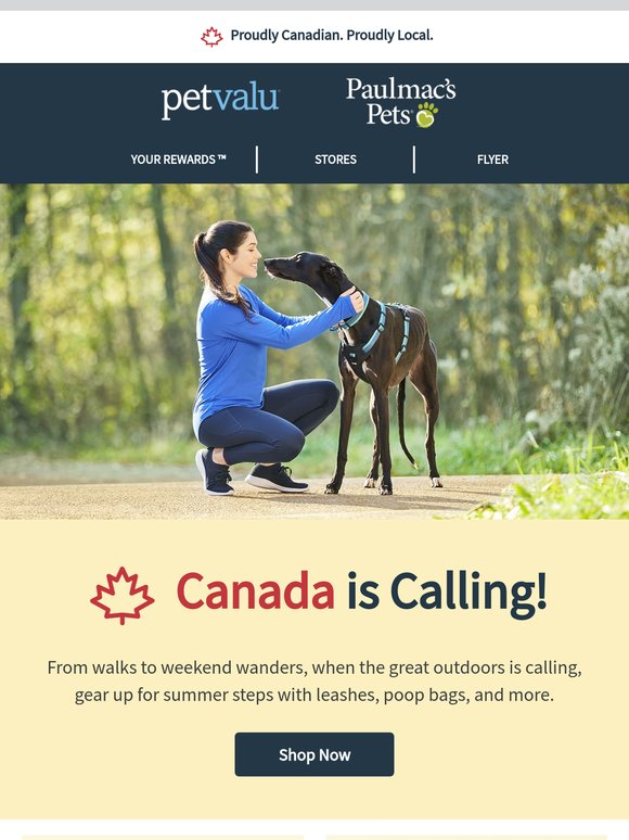 The Canadian outdoors are calling! All the ways to prep your pets for summer are right here...