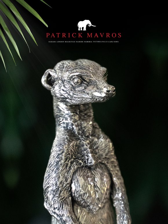 🐾 Meet the Meerkats - Guardians of the Grasslands 🐾