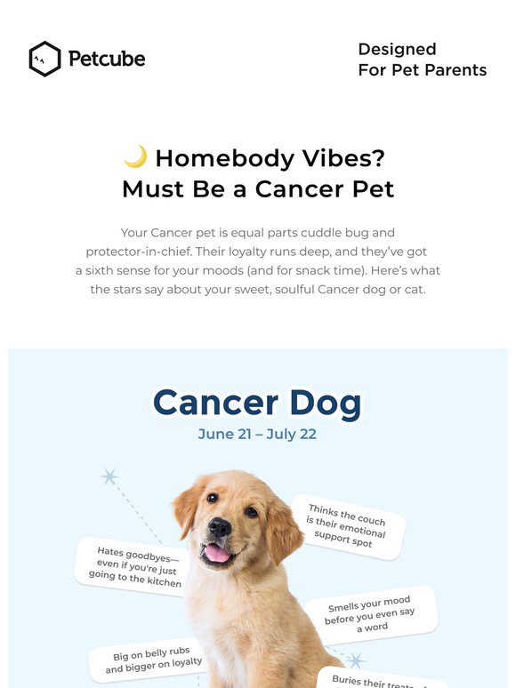 ♋ This month’s pet horoscope? Extra cuddly and cute.