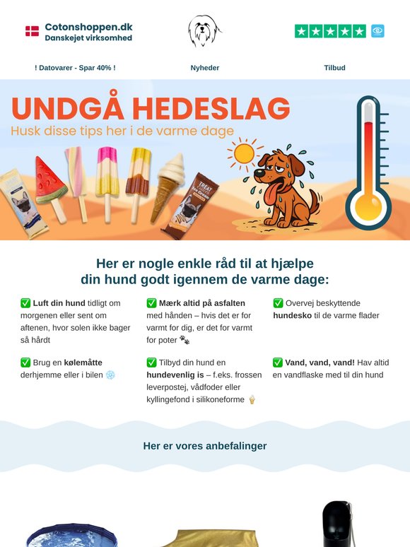 😰🐶 Undgå hedeslag hos din hund