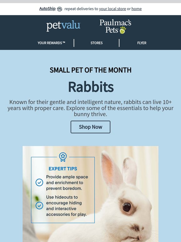 Some bunny’s got expert tips for your rabbit, plus deals like 25% OFF ALL Kaytee Small Animal Hay, and more