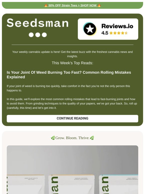 📬 Weekly Newsletter 📬