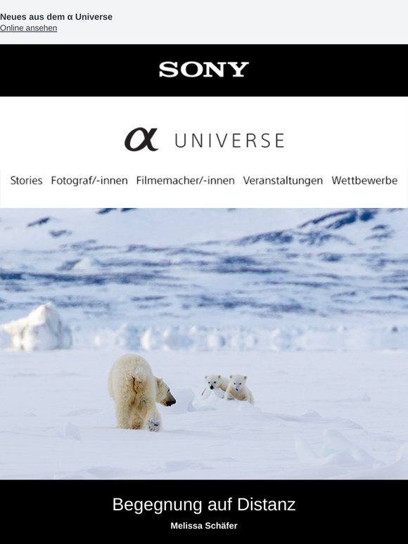Nehmen Sie jetzt an unserem Fotowettbewerb zum Thema „Sommer“ teil! - Newsletter zu α Universe 📷