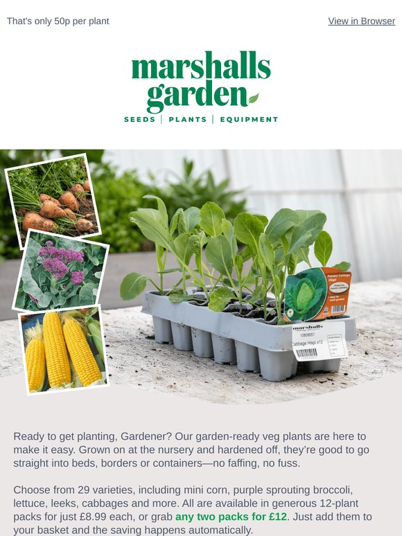 Don’t Miss Our 2 for £12 Garden Ready Vegetables