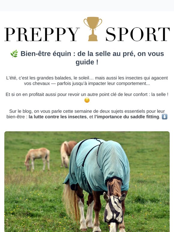 Insectes d’été : comment protéger votre cheval ? 🦟🐴