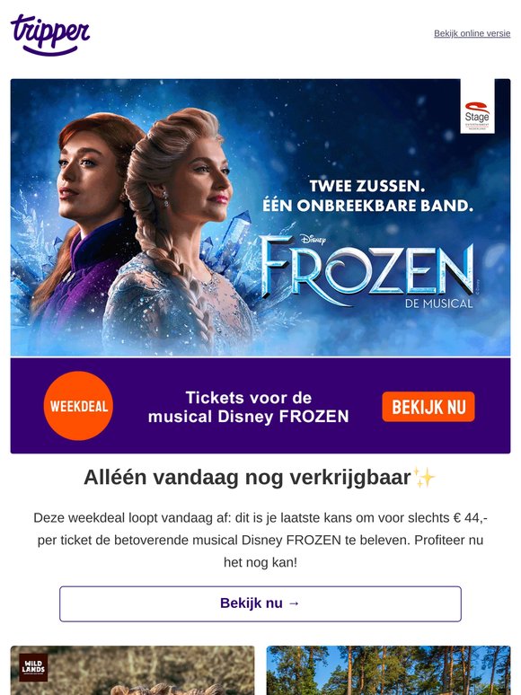 Weekdeal musical Disney FROZEN loopt af ⏰