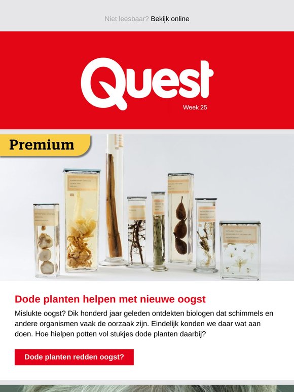 Hoe kun je milieubewust AI prompts schrijven?