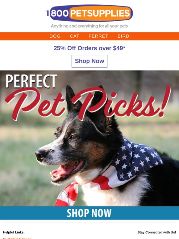 Very Impawtent News: 25% Off Your Order