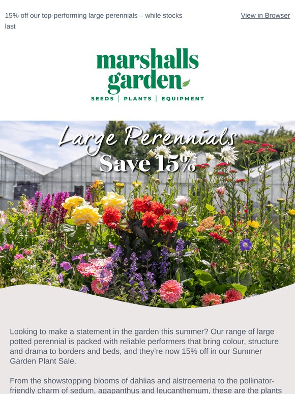 Your Favourite Perennials, Now with 15% Off
