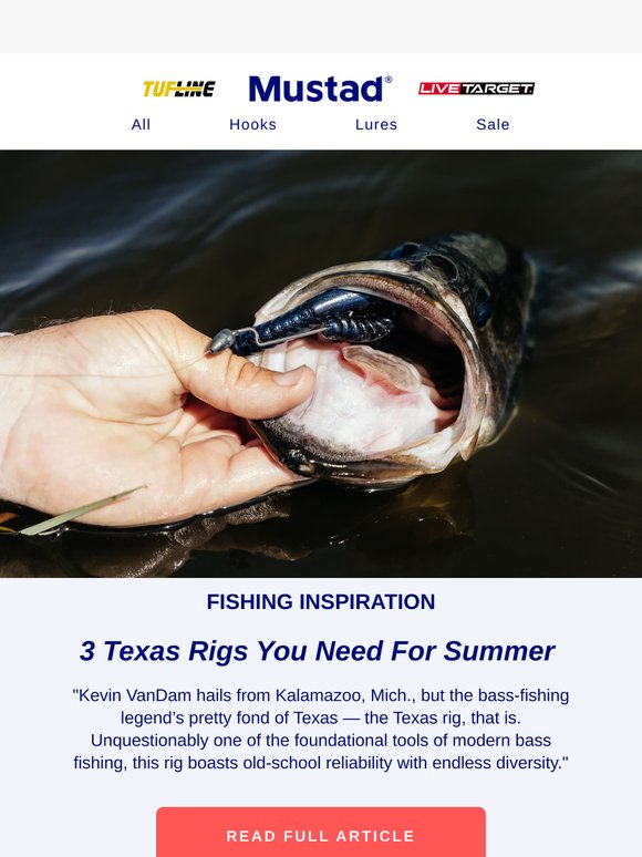 Summer Bass? These 3 Texas Rigs Will Transform Your Game