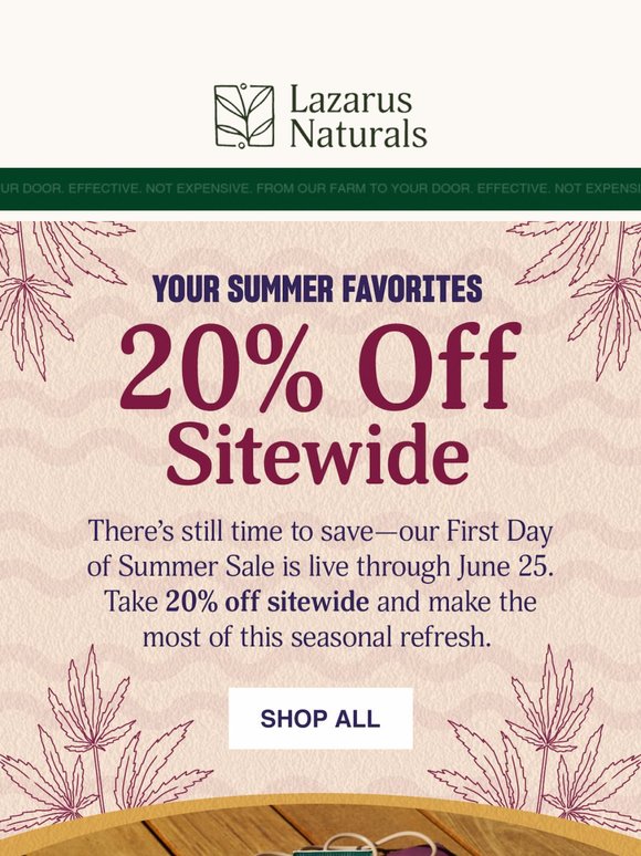 🍉 Summer's Here & So Are the Savings – 20% Off!