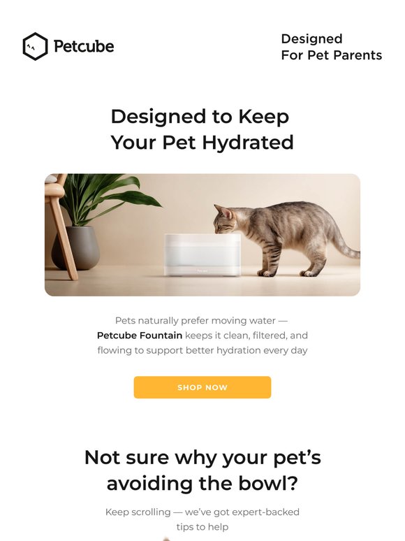 Is your pet staying hydrated?