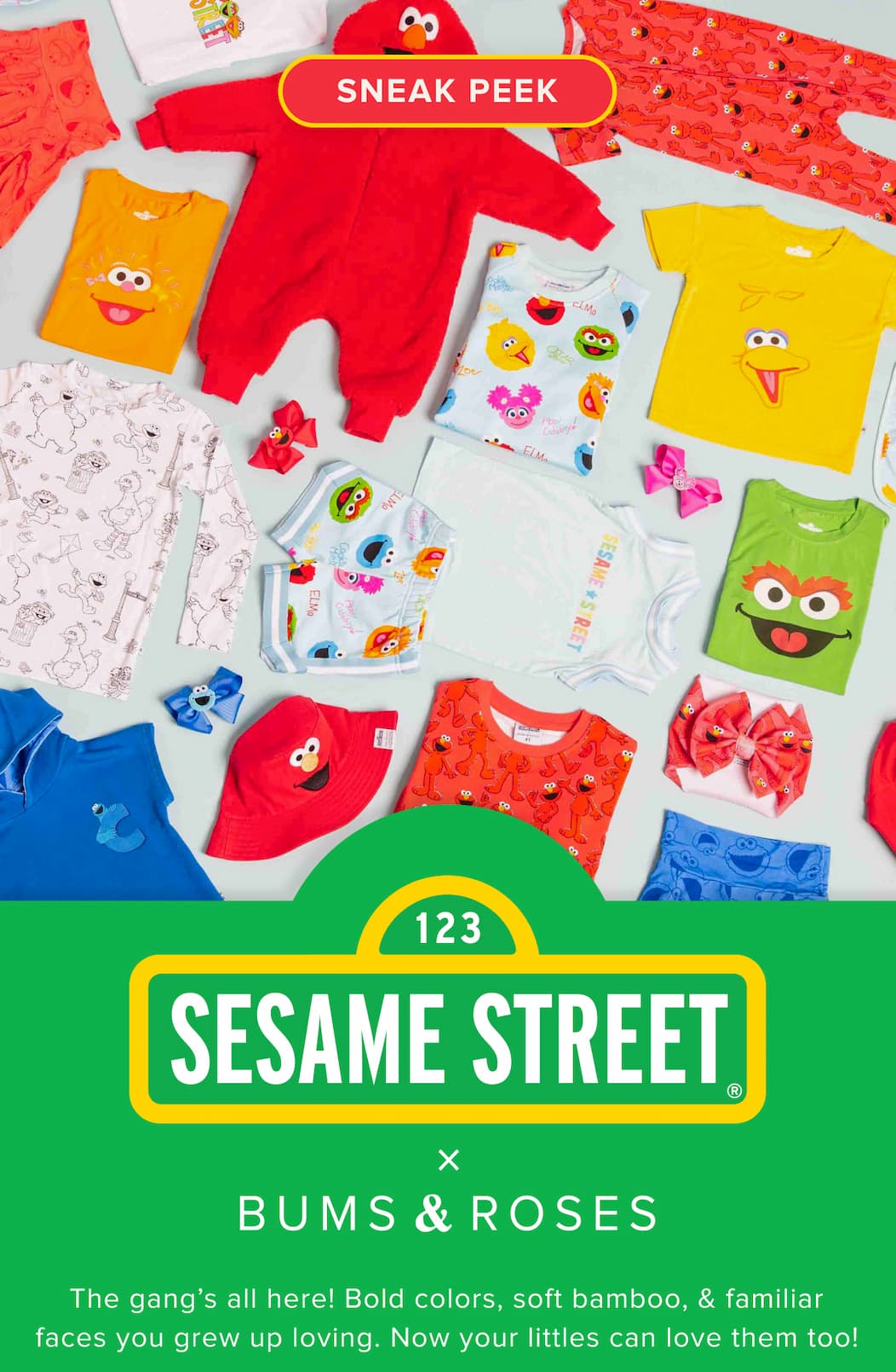 SESAME STREET FRIENDS 