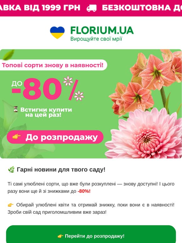 ⚡ Тільки для тебе! Знижки до -80% на топові сорти!