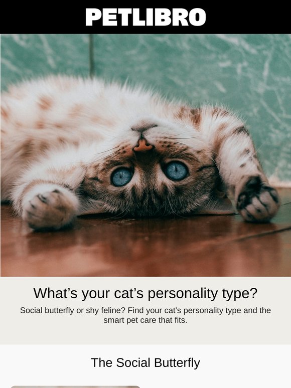What’s your cat’s personality?