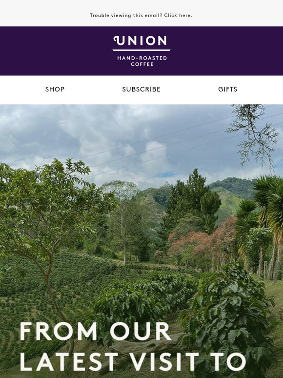 Inside the farm: how your coffee is grown in Timaná, Colombia