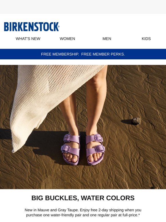 Big Buckle Essentials, New Colors