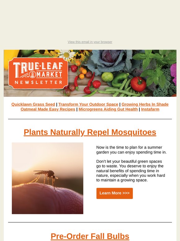 Don’t Let Bugs Ruin Your Green Space—Start Planning Now | TLM Newsletter