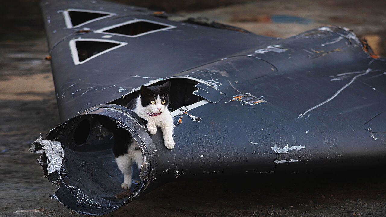A cat climbs in a wreckage of Russian ‘Geran’ drone shot down in Ukraine.