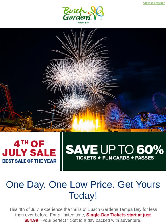 😎 Enjoy Florida Fun for Only $54.99