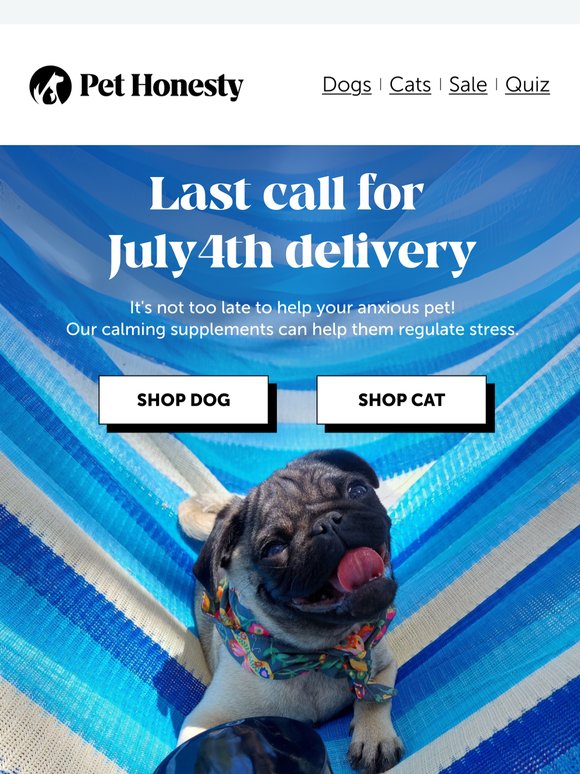 🚨LAST CALL: 4th of July Delivery
