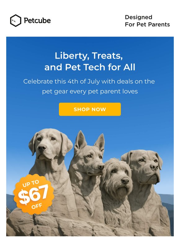 Declare independence from pet anxiety