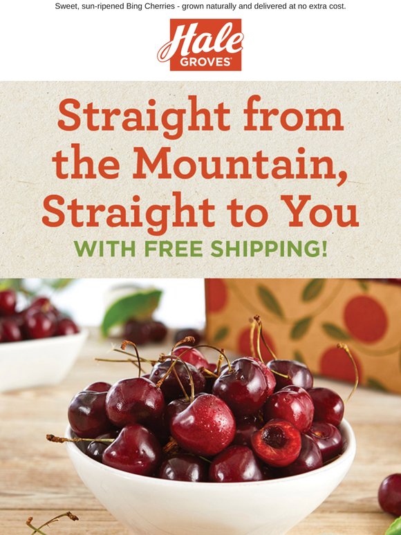 Enjoy FREE Shipping 🍒 on Sweet Mountain Bing Cherries!