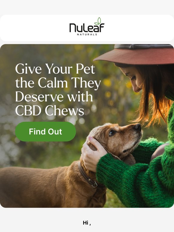 Calm and Comfort for Your Pet 🐾