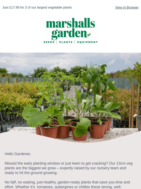 Buy 3 Get 3rd Free on 13cm Vegetable Plants