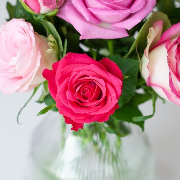 Rosenbox 12 Frische Rosen Rosa