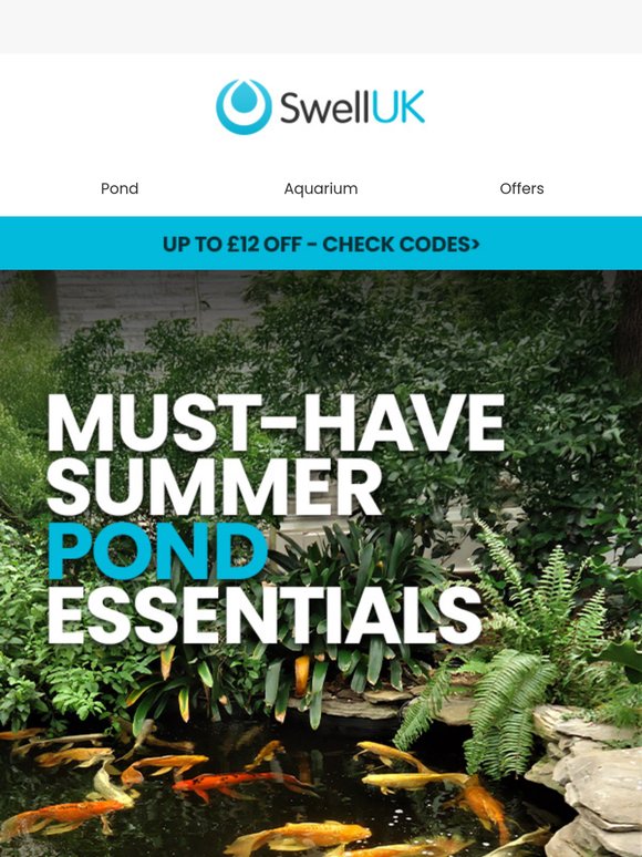 Summer Pond Essentials